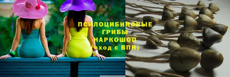 Псилоцибиновые грибы Magic Shrooms  как найти наркотики  блэк спрут зеркало  Бодайбо 